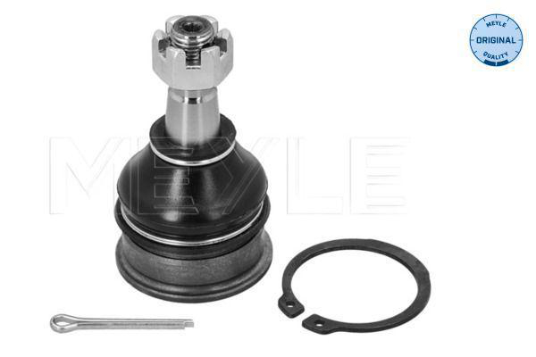 Spindelled Meyle